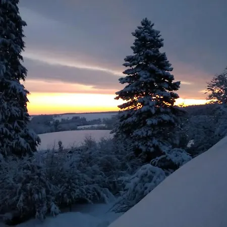 Kraeuterhex' Reutin Hotel