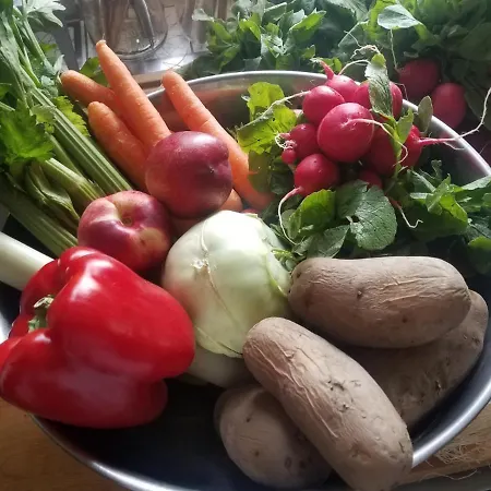 Hotel Kraeuterhex' Reutin