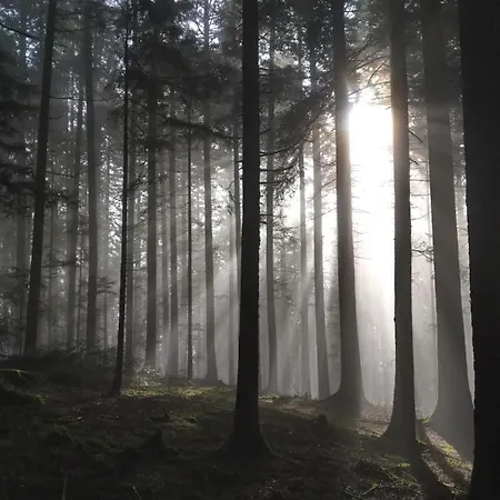 Kraeuterhex' Reutin Hotel Alpirsbach